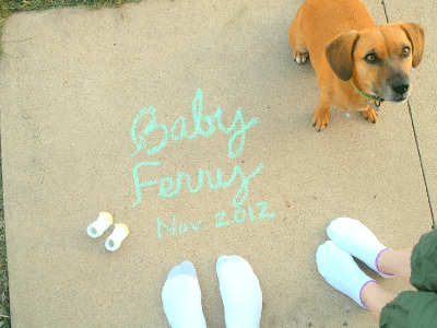 chalk writing baby due date with dog