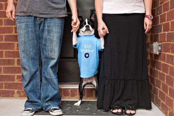 Here are 60 of the best pregnancy announcement ideas and cute ways to announce your pregnancy. Includes fun (and funny) ideas and photos.