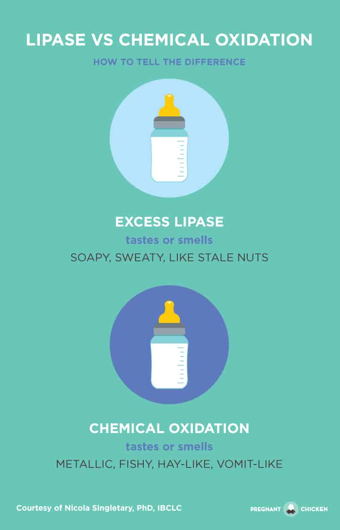 alt="Lipase vs chemical oxidation graphic - breast milk smells gross - determining if lipase or chemical oxidation is to blame"