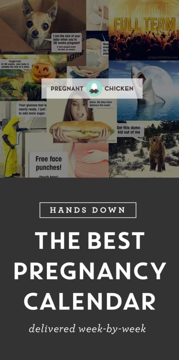 Pregnancy Calendar