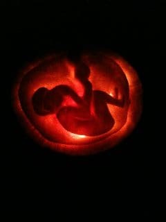 Marlowe Dunker - pumpkins giving birth