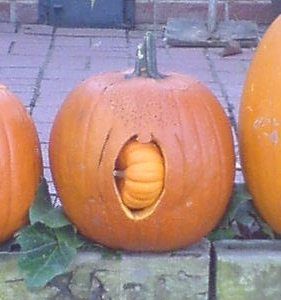 pumpkins giving birth