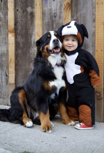 Baby Dog Halloween Costume