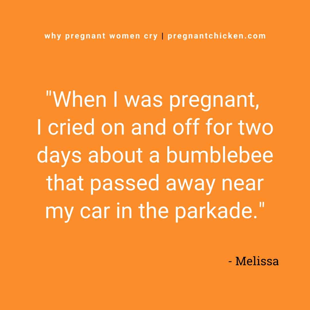 "When I was pregnant, I cried on and off for two days about a bumblebee that passed away near my car in the parkade." Reasons pregnant women cry text version