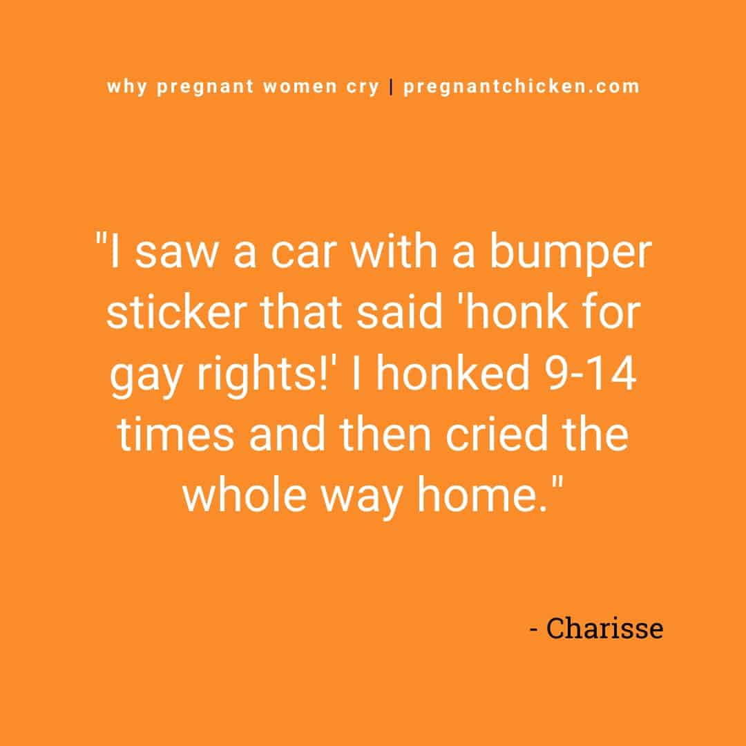 "I saw a car with a bumper sticker that said 'honk for gay rights!' I honked 9-14 times and then cried the whole way home." Reasons pregnant women cry text
