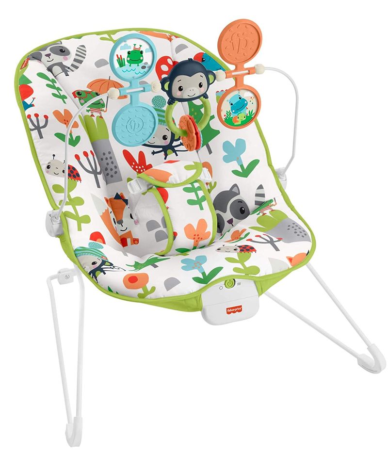 Fisher-Price Baby's Bouncer