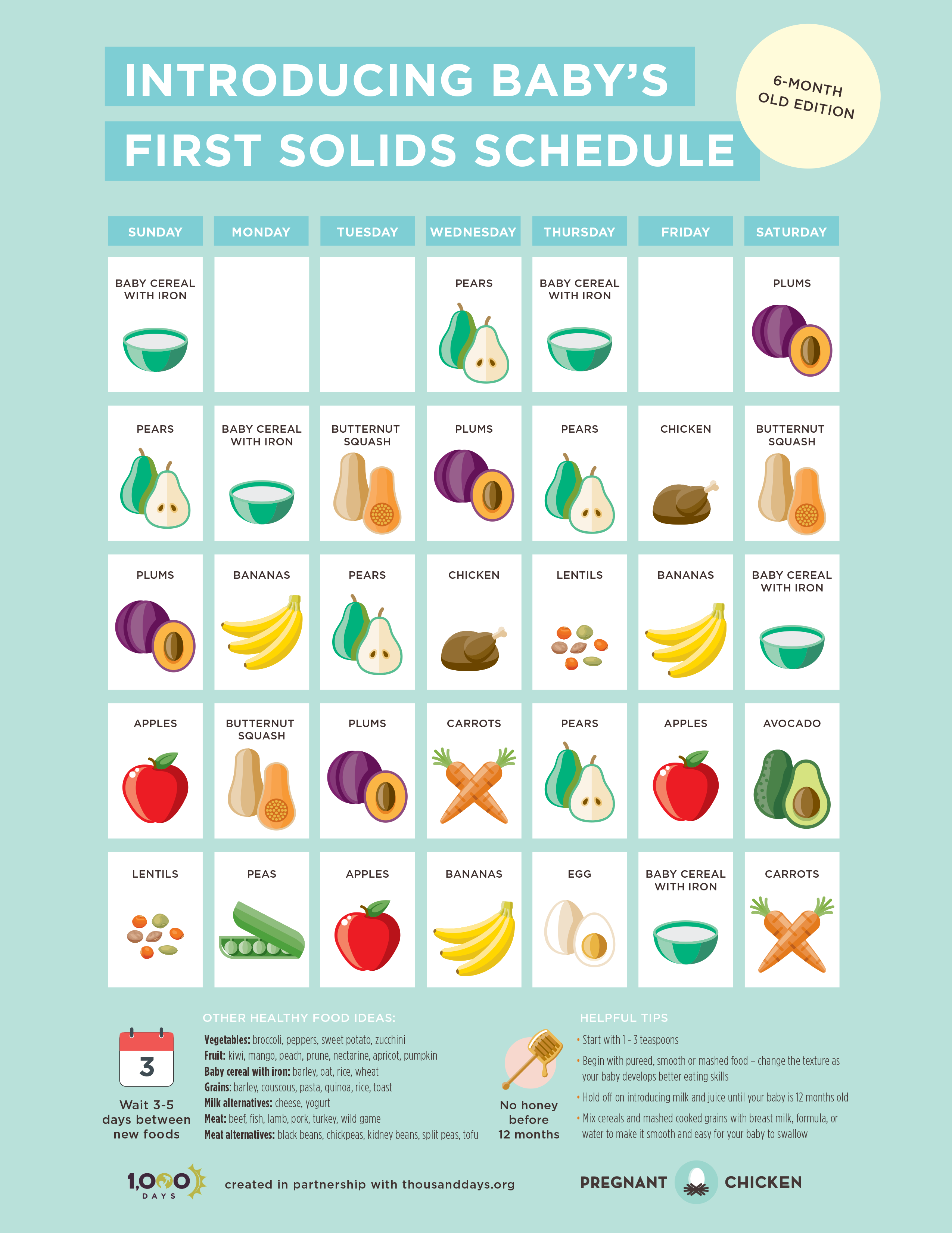 Introducing Solids to Your Baby, Solid Food Charts for Introducing Solids  to Your Baby and Infant including Starting Fruits, Vegetables and Meat