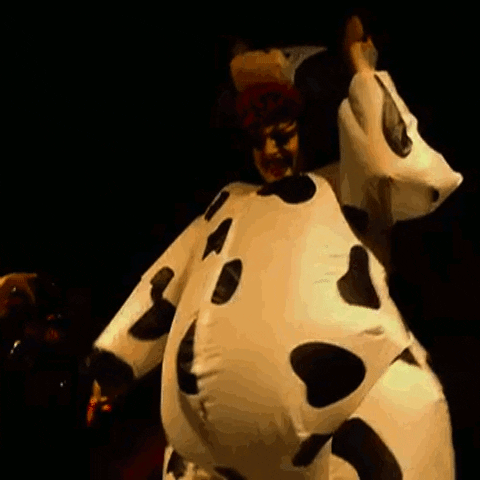 GIF of woman in cow suit mooing