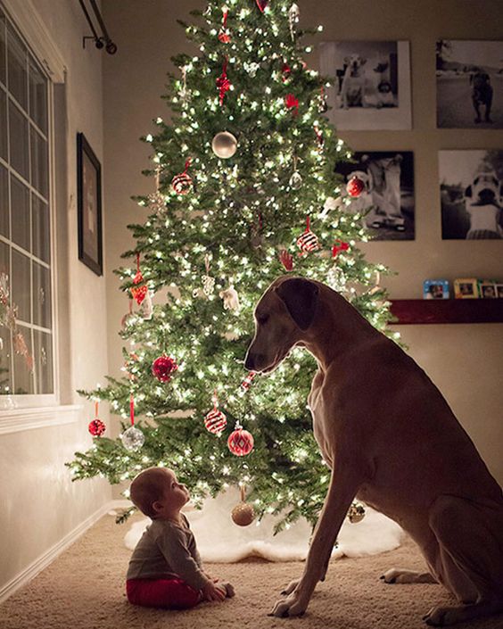 11 Practical  Super Easy Tips for Your Baby's First Christmas Photo S