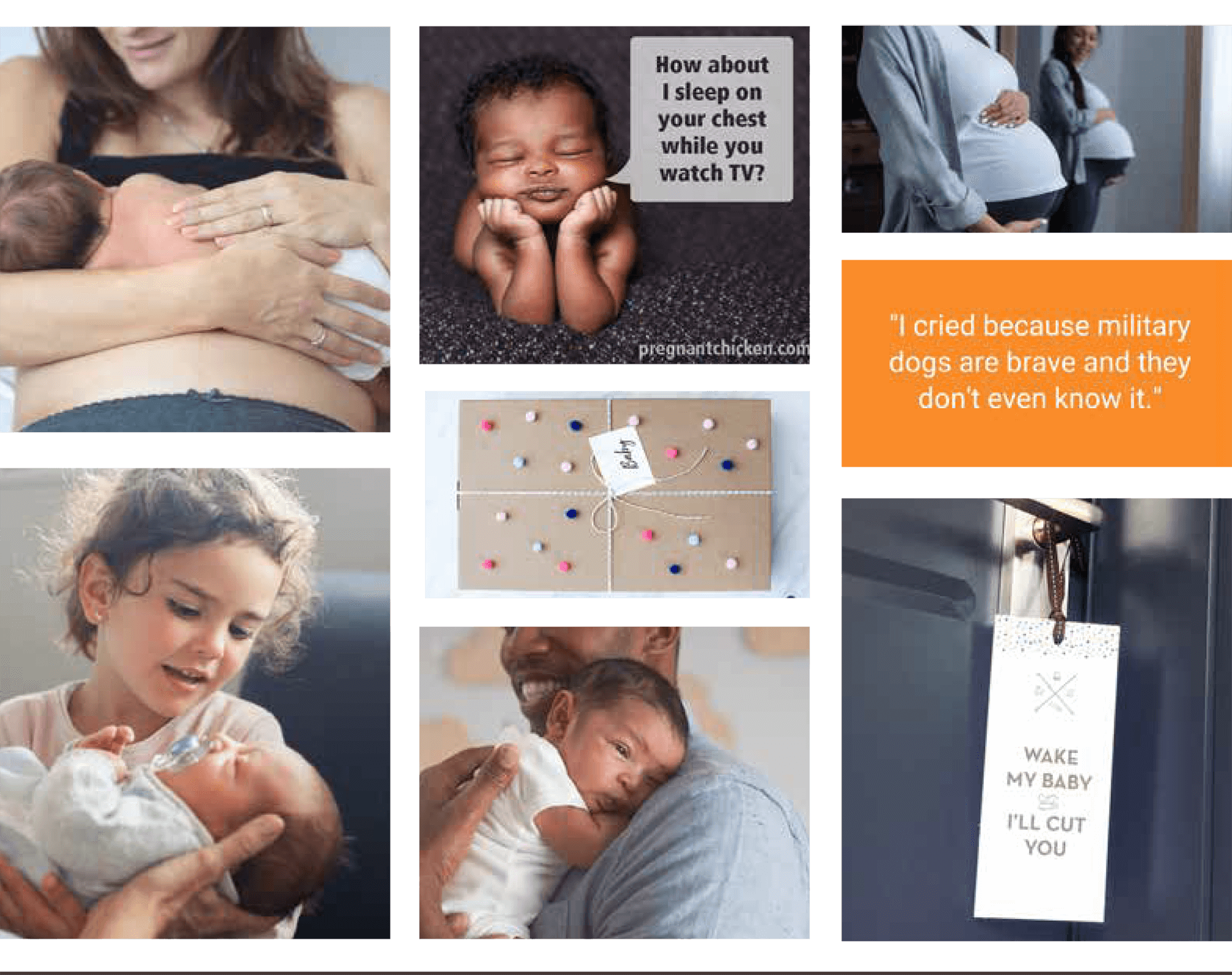 pregnancy and baby posts from Pregnant Chicken media kit