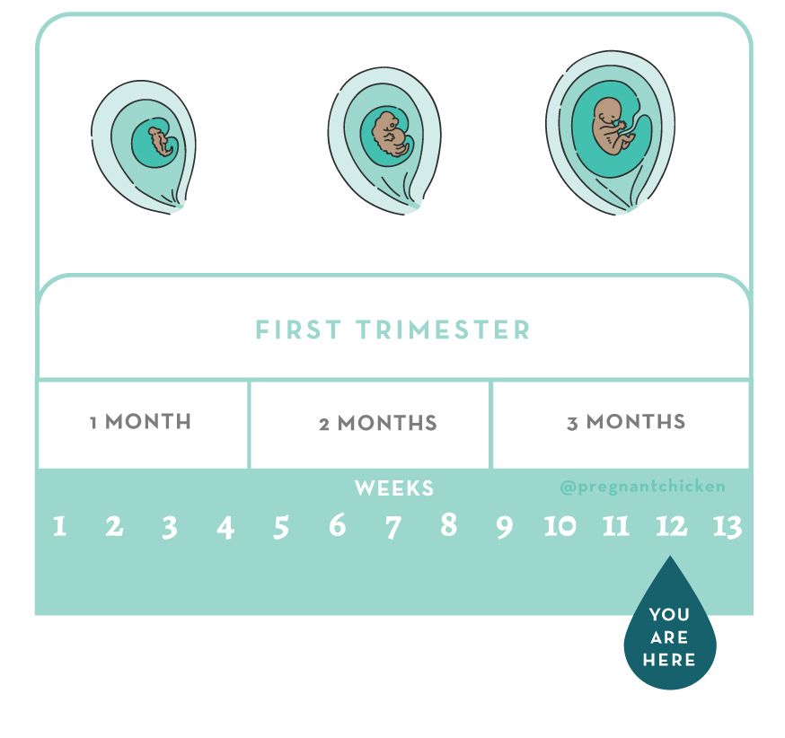 First Trimester Pregnancy Guide for New Moms: Pregnancy - The First Twelve  Weeks