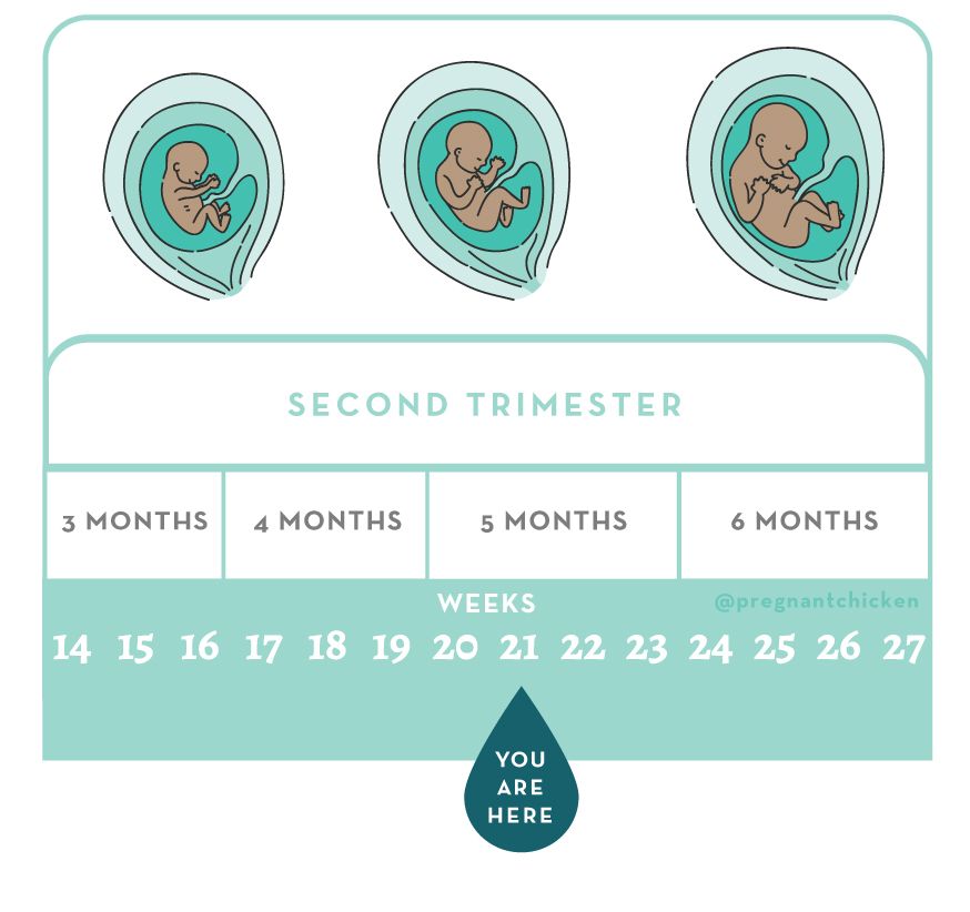 21 Weeks Pregnant