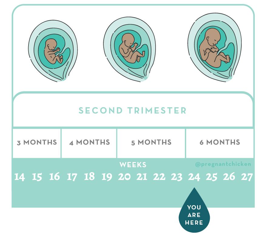 24-weeks-pregnant