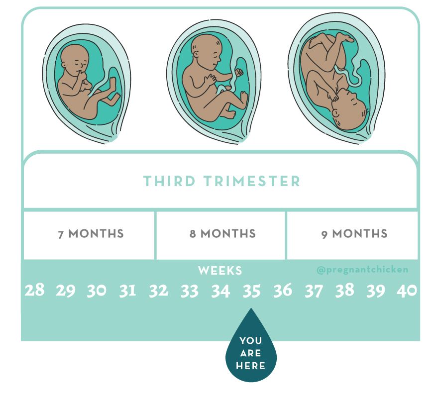 35 Weeks Pregnant - American Pregnancy Association