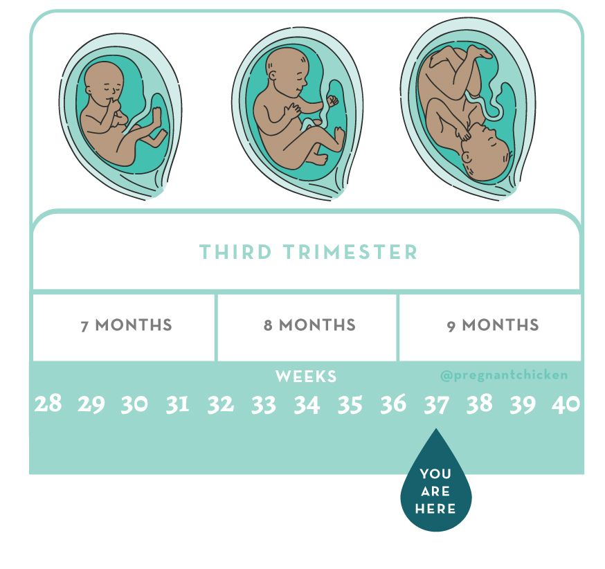 37 weeks pregnant - Week-by-week guide - NHS