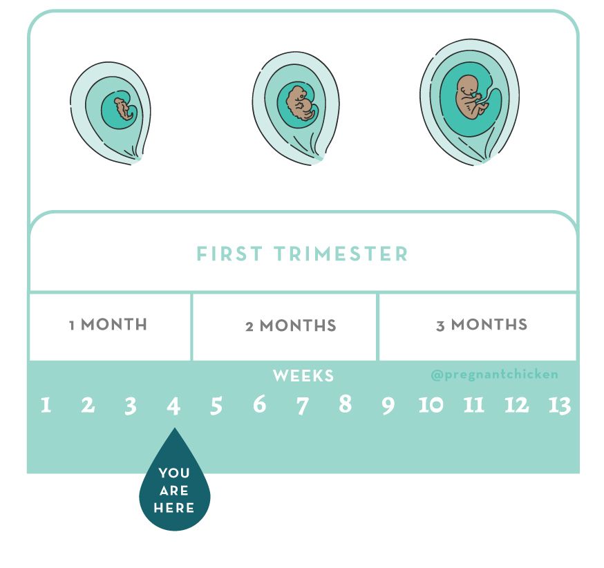 4 Weeks Pregnant