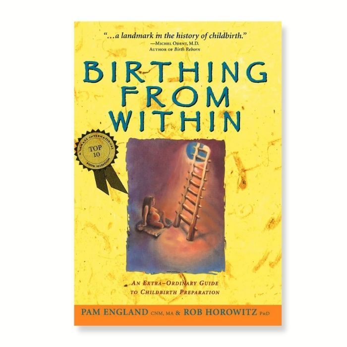 cover of pregnancy book "Birthing from Within"