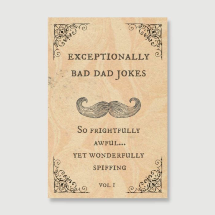exceptionally bad dad jokes book