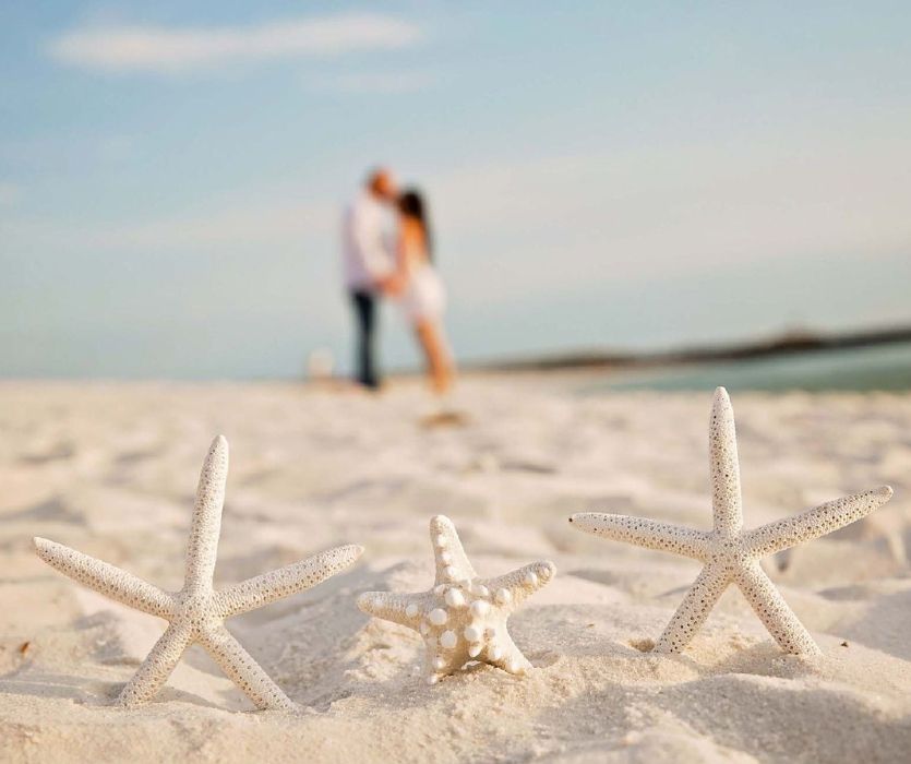 three starfish standing in the sand with an expectant couple kissing in the background