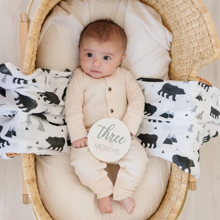 baby in moses basket with three months wooden milestone marker