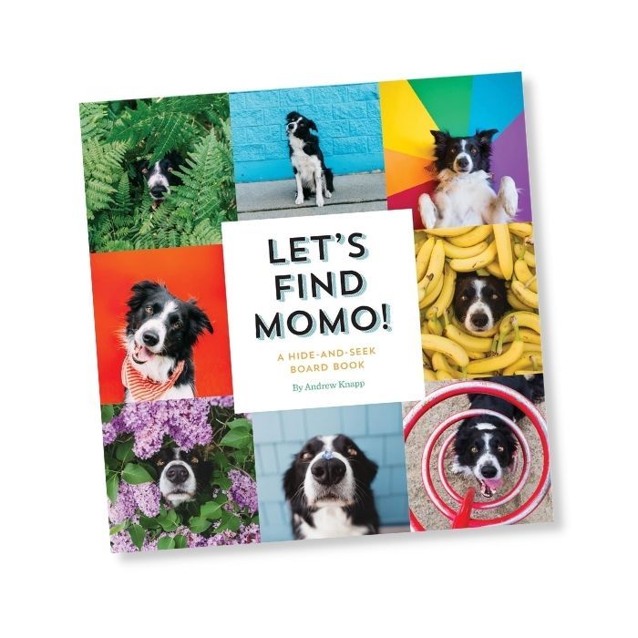 Let's Find Momo!: A Hide-and-Seek Board Book