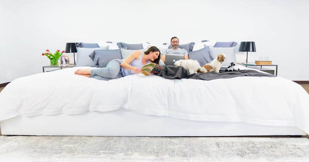 giant family bed with couple and dogs lying on it