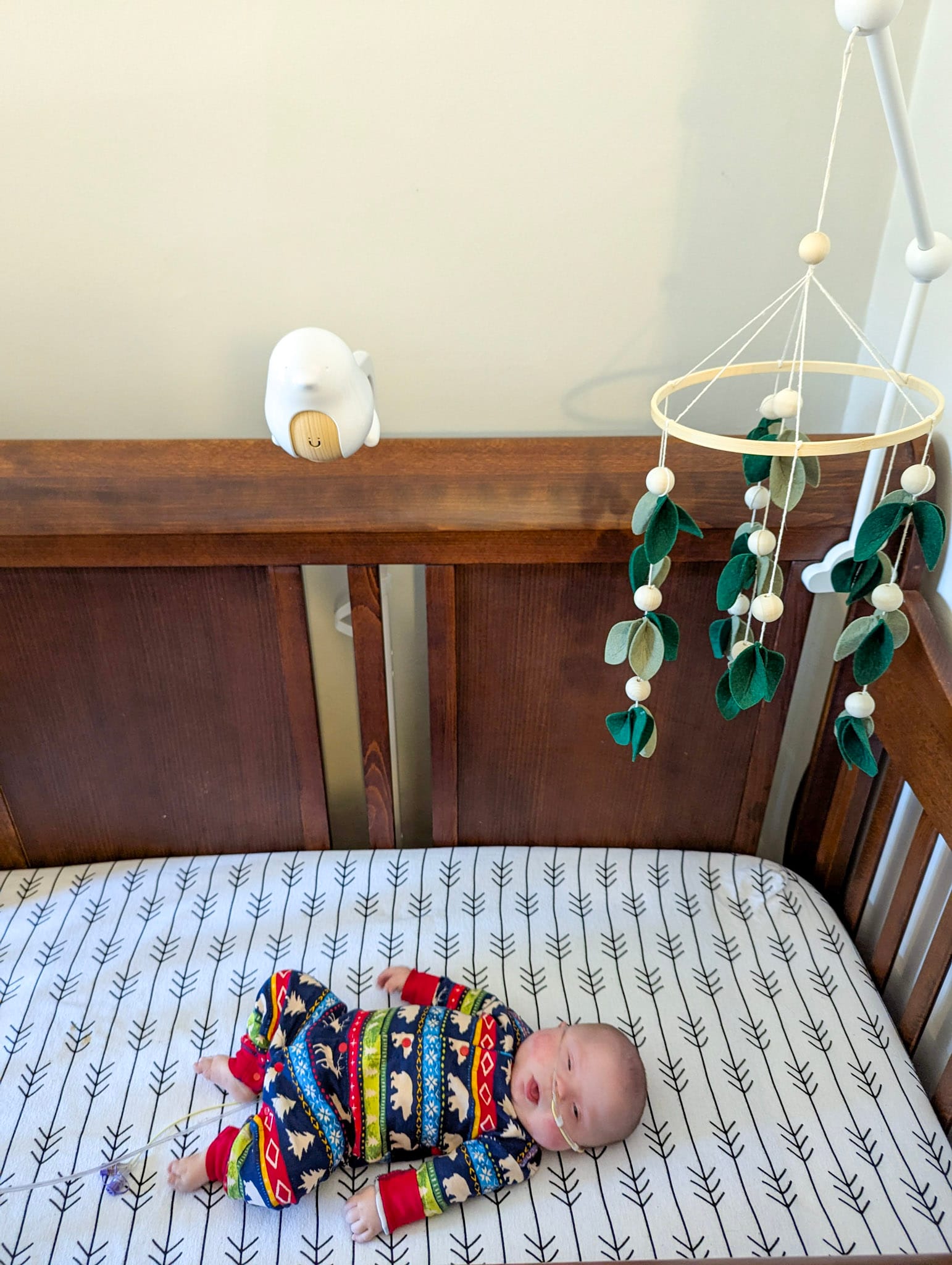 baby sleeping in crib with monitor on floor stand