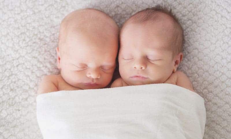 twin babies swaddled in a blanket