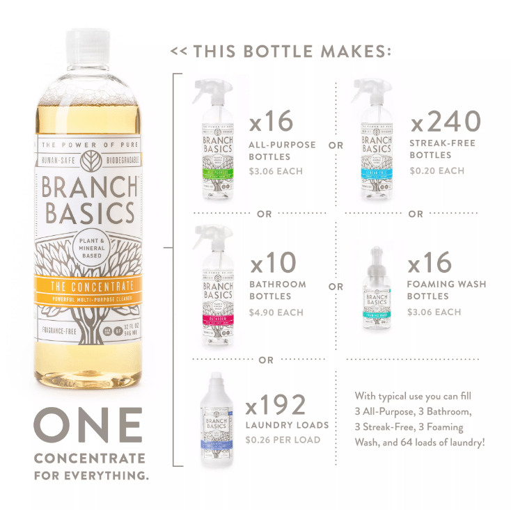 Branch Basics Review