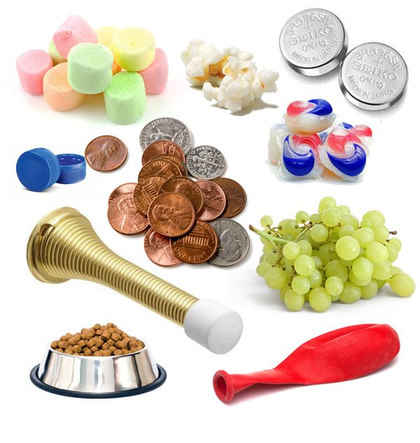 Surprising (and Not so Surprising) Choking Hazards for Babies