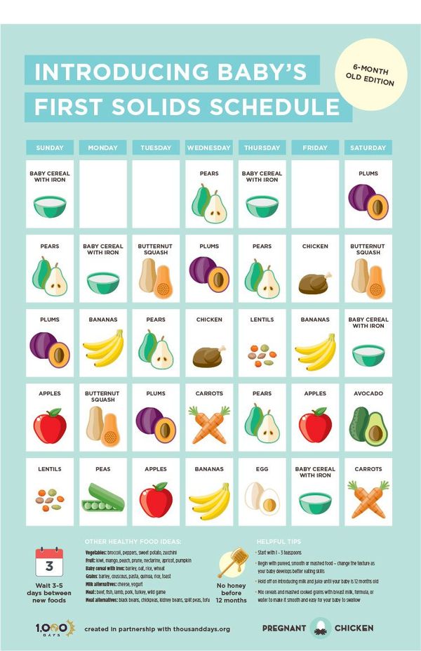 Baby Food List By Month