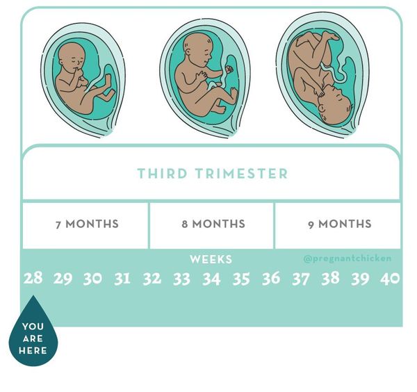 28-weeks-pregnant