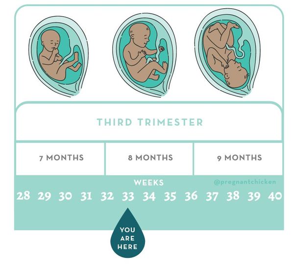 33 Weeks Pregnant