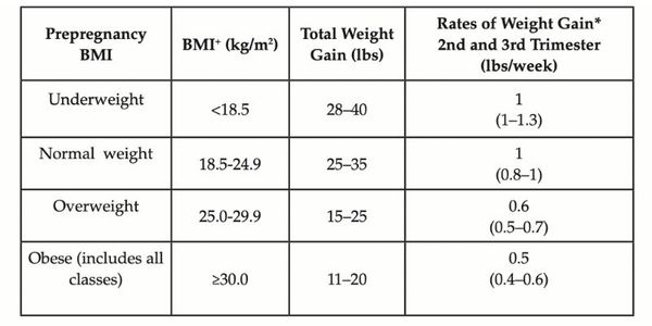 Pregnancy Weight Gain Guidelines: Where Did They Come From, Anyway?