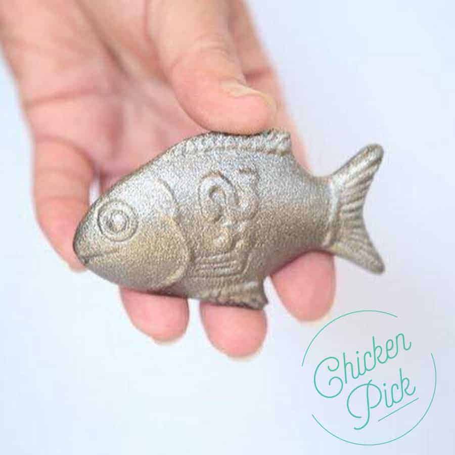 IronDeficient Anemia and The Lucky Iron Fish