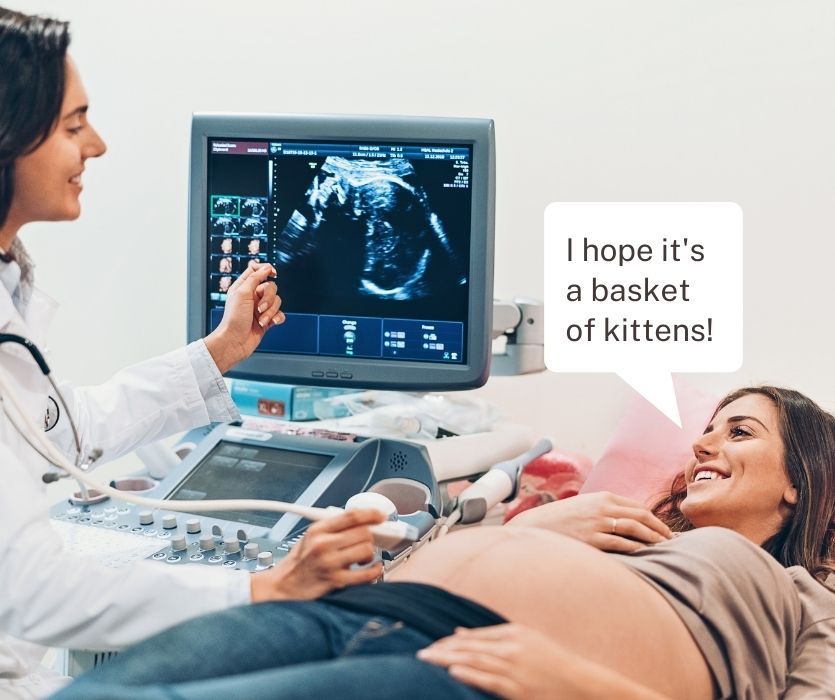 A doctor performing a 19-week ultrasound on a smiling woman who says, I hope it’s a basket of kittens!
