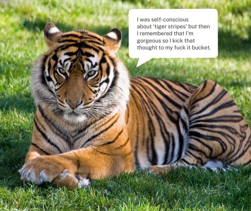 Tiger lying in grass with a speech bubble about being gorgeous despite self-consciousness over tiger stripes.