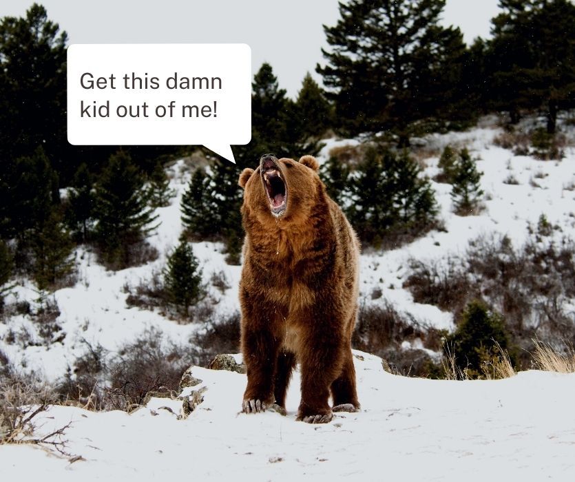 A brown bear roars in a snowy landscape with a speech bubble that reads, Get this damn kid out of me!