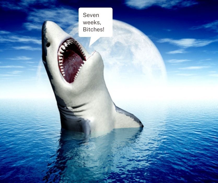 Shark with open jaws in the ocean against a full moon. A speech bubble reads, Seven weeks, Bitches!