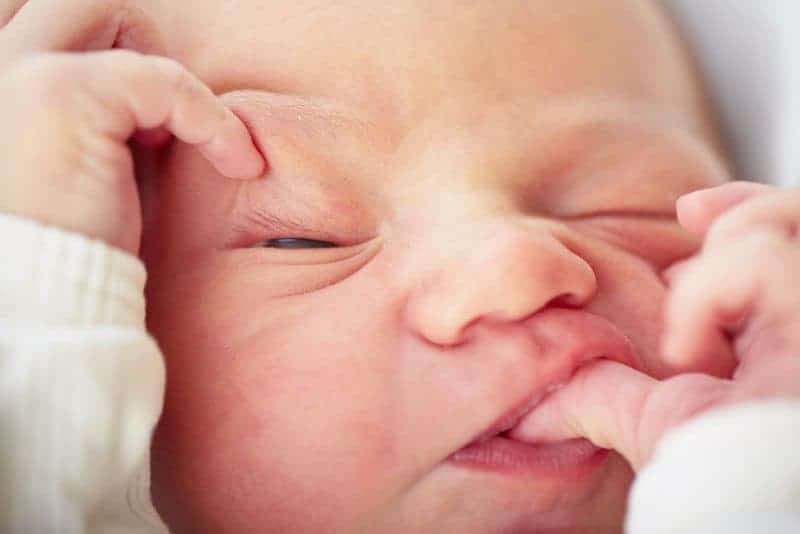 Close-up of a newborn rubbing their eye with one hand and sucking on a finger with the other.