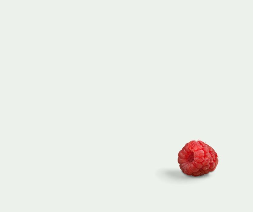 A single red raspberry sits in the bottom right corner of a plain white background.
