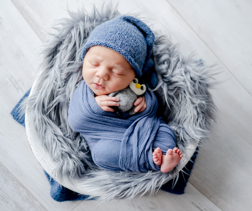 Sleeping newborn in a blue swaddle and hat, clutching a plush penguin, nestled in a grey faux fur bowl.