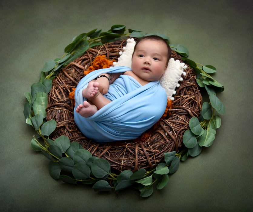 A baby in a light blue wrap lies in a twig nest bordered by green leaves on a dark green background.