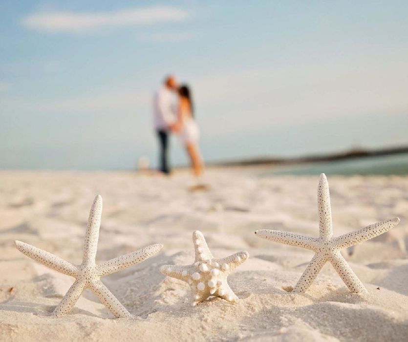 Three white starfish in the sand with a blurred couple kissing in the background at a beach.
