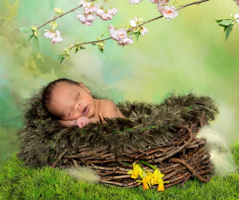 Newborn baby sleeping in a twig nest with faux fur, under blossoming cherry branches and a green background.