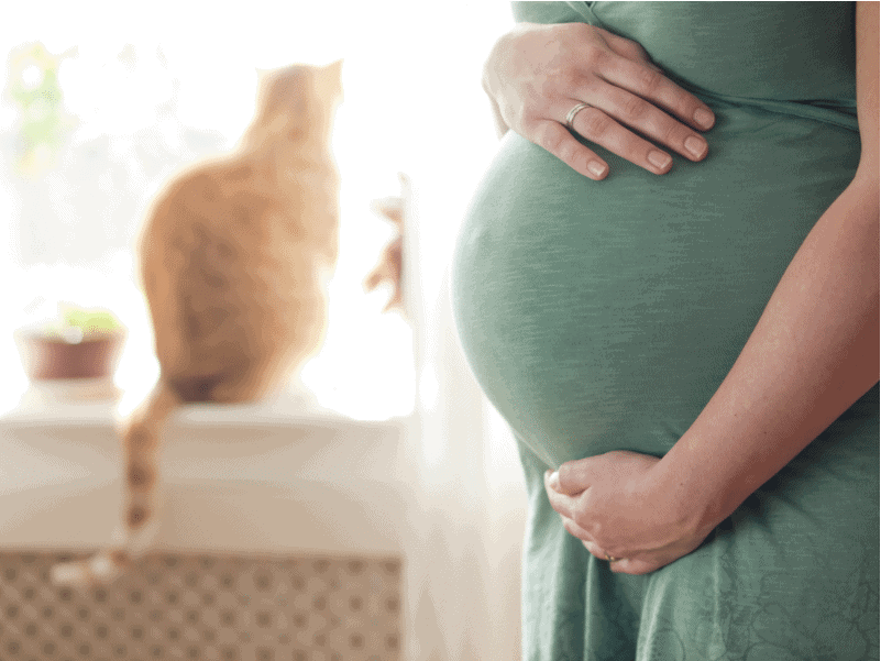 A pregnant person in a green dress cradling their belly, with a cat sitting in a blurred background.