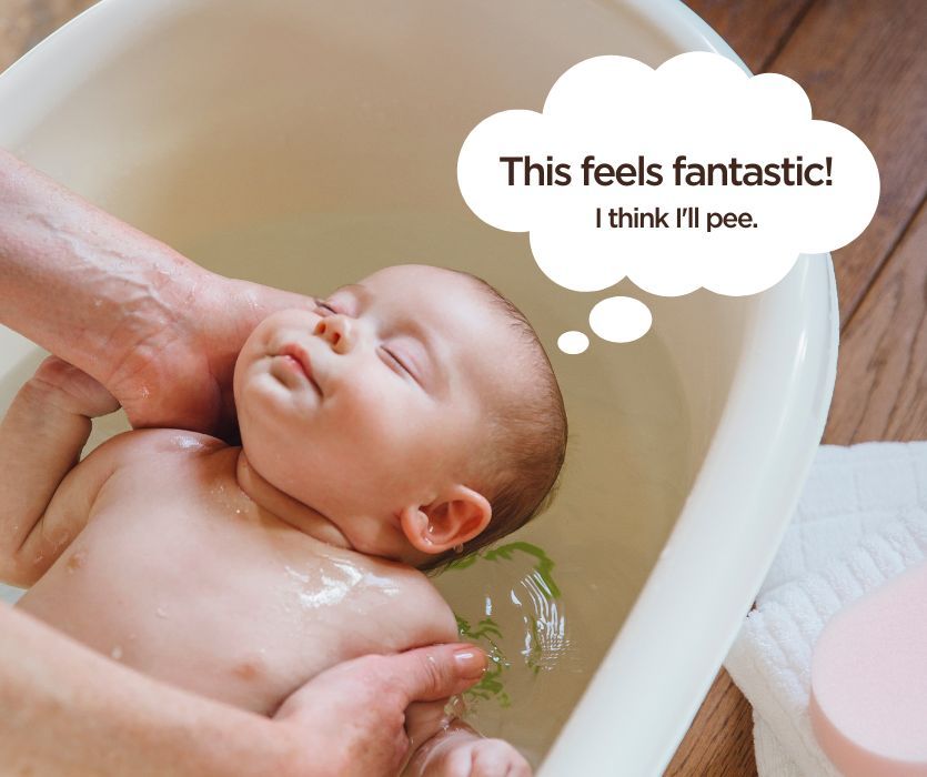 A baby being washed in a tub by a caregiver. A thought bubble says: This feels fantastic! I think I'll pee.