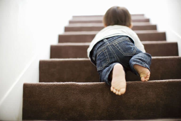 A toddler in jeans and a white shirt crawling up carpeted stairs, seen from behind.
