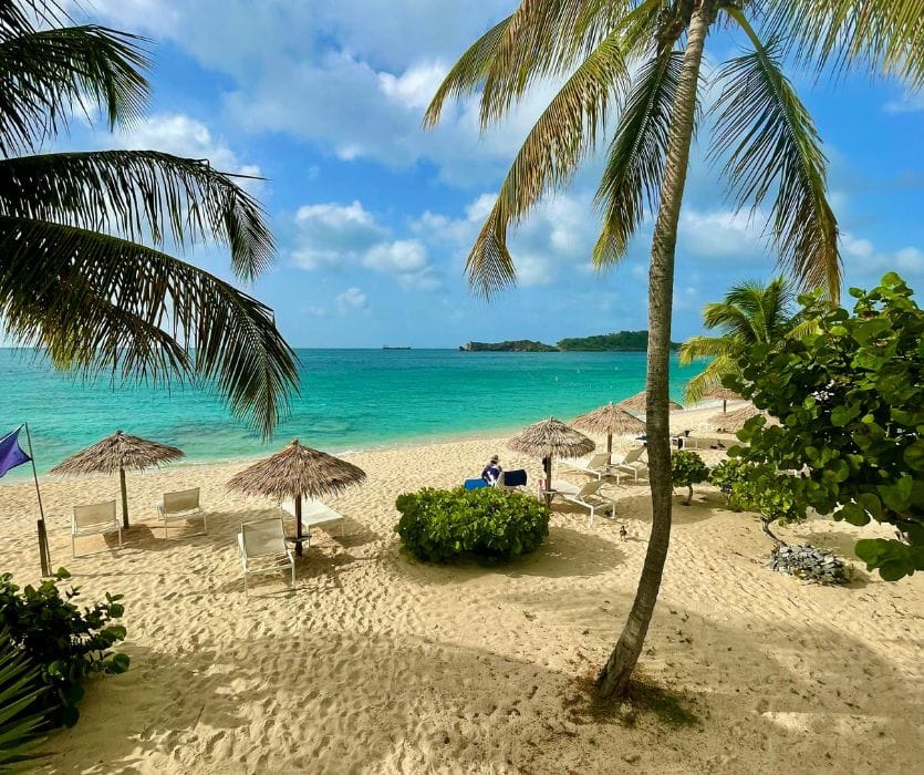Tropical beach with turquoise water, palm trees, thatched umbrellas, and white lounge chairs on tan sand.