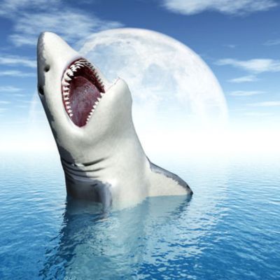 shark jumping out of water with moon in background